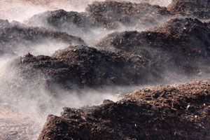 compost