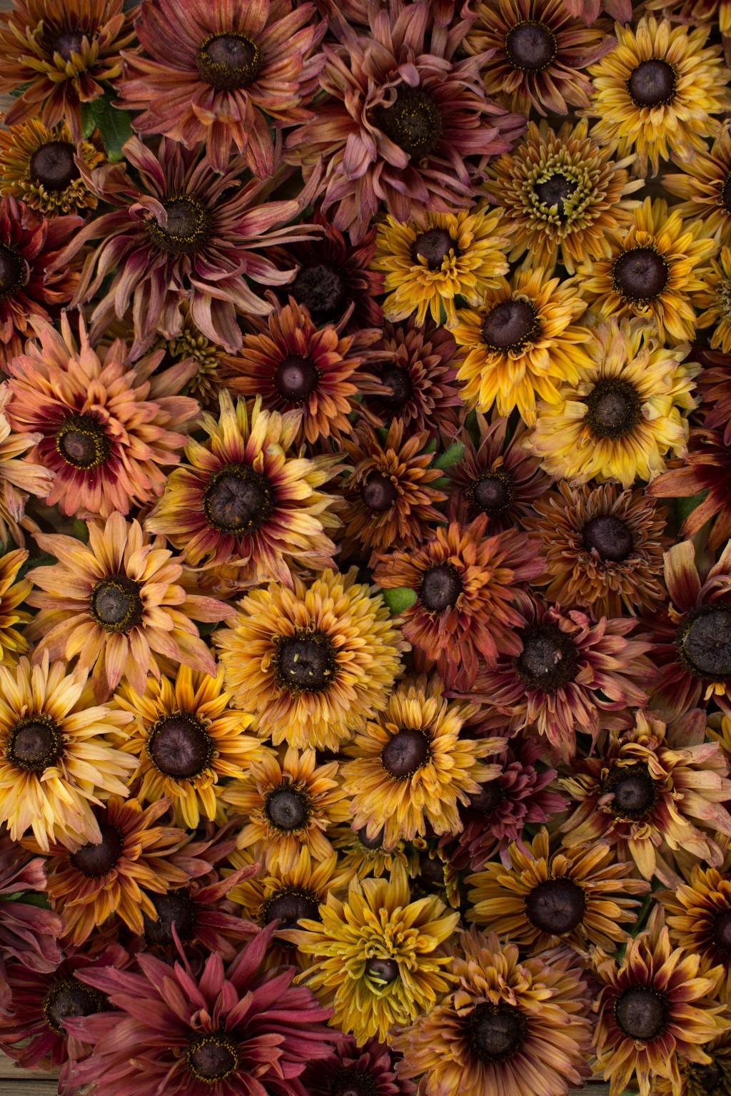 tricks-the-trade-starting-flower-seed