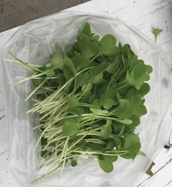 microgreens