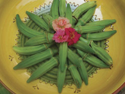 Okra