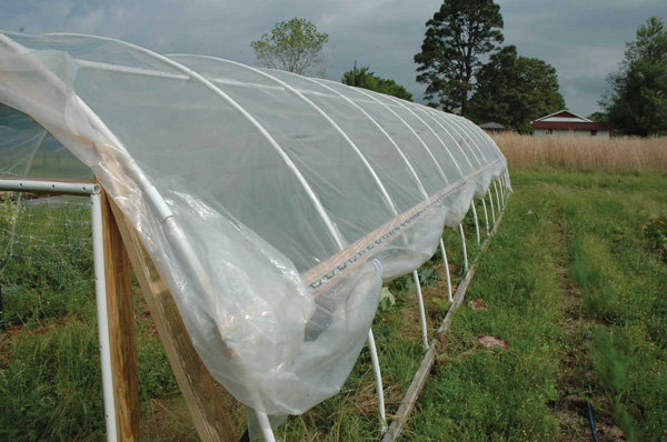 ouside of Thorne hoophouse